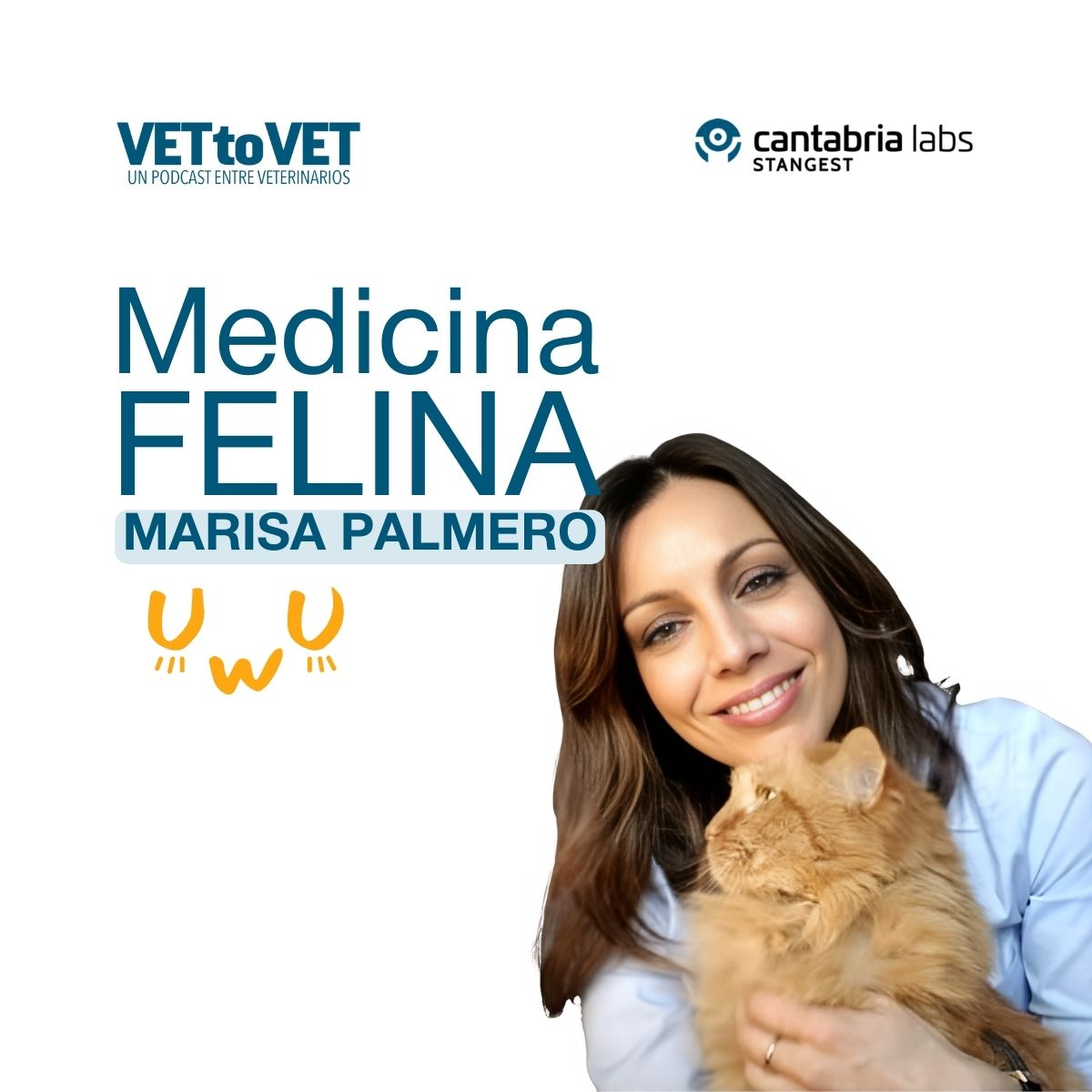 E4 Podcast Vet to Vet: Medicina felina